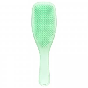 Tangle Teezer The Wet Detangler Hairbrush Mint Karma