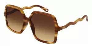 Chloe Sunglasses CH0086S 002