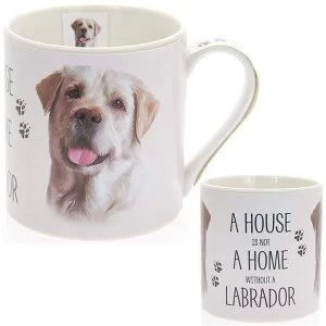 Fine China Golden Labrador Mug By Lesser & Pavey