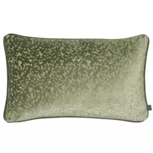 Pharoah Velvet Cushion Olive