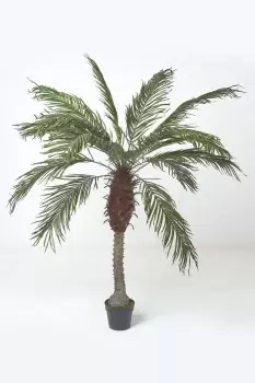 Phoenix Palm Tree in Pot, 160cm Tall