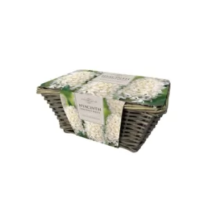 Large White Hyacinth Basket