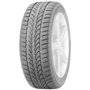 Nokian WR (295/30 R19 100V)