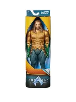 Aquaman Aquaman 12" Figure