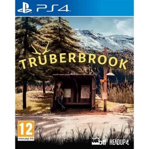 Truberbrook PS4 Game