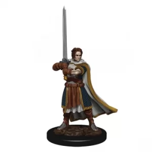 D&amp;D Icons of the Realms Premium Figures (W4) Human Cleric Male