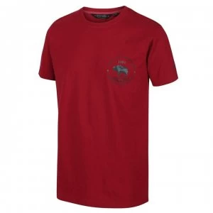 Regatta Cline IV Graphic Tshirt - Spice