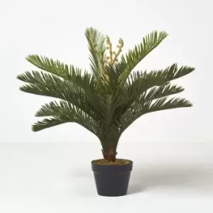 Homescapes - Green 'Sago Palm' Artificial Cycas Plant with Pot, 75cm - Green