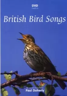 British Bird Songs