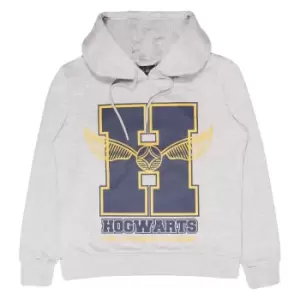 Harry Potter Unisex Adult Glitter School Emblem Hogwarts Hoodie (XXL) (Heather Grey/Navy/Yellow)