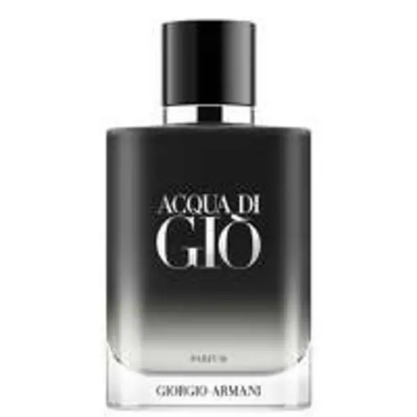 Armani Acqua Di Gio Homme Parfum Spray 100ml