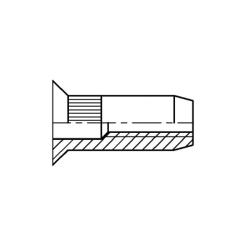 M10 Steel Countersunk Head Knurled Rivet Nut (Box-100) - Qualfast