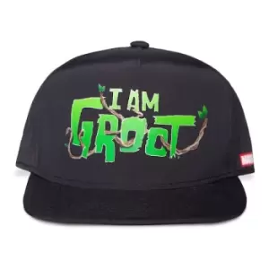 Marvel Guardians Of The Galaxy - I Am Groot Childrens Snapback Cap - Black