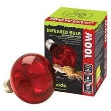 Komodo 100W Infrared Heat Source 24hr Reptile Bulb