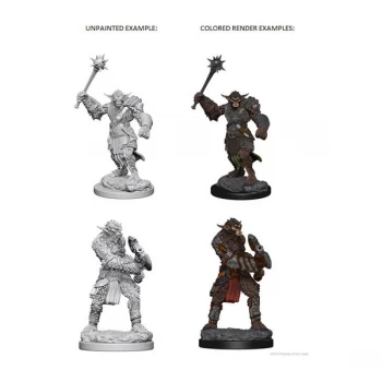 Dungeons & Dragons: Nolzur's Marvelous Unpainted Minis