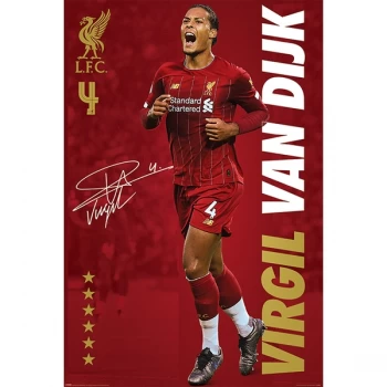 Liverpool FC - Virgil Van Dijk 61 x 91.5cm Maxi Poster