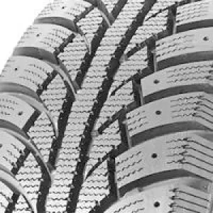 Goodride SW606 FrostExtreme (205/55 R16 91T)