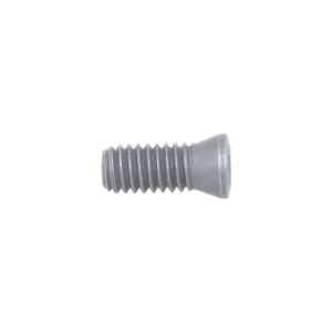 DSW-307 Insert Screw