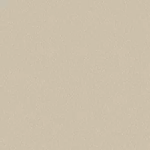 Holden Pinto Beige Wallpaper - wilko