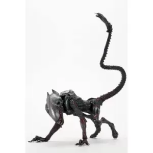 Aliens Action Figure Night Cougar Alien (Kenner Tribute) 23cm