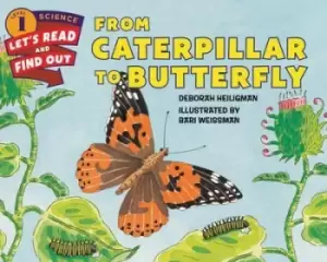 From Caterpillar To Butterfly by Deborah Heiligman