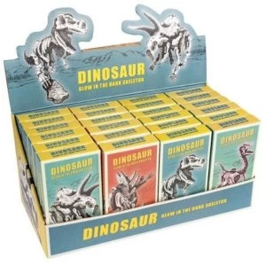 Assorted Dinosaur Skeleton Kits (1 Random Supplied)