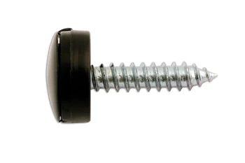 Number Plate Security Screw-Black Pk 100 Connect 30635