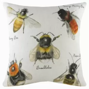 Evans Lichfield - Species Bees Watercolour Print Cushion Cover, Multi, 43 x 43 Cm