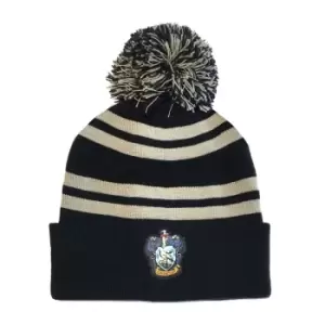 Harry Potter Ravenclaw Beanie (One Size) (Blue/Silver)