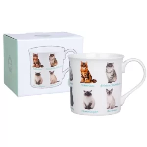 Collection Mug Cats