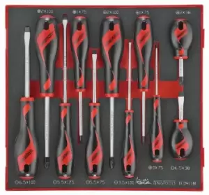 Teng Tools TED911N 11 Piece EVA Screwdriver Set (Flat, PH and PZ)