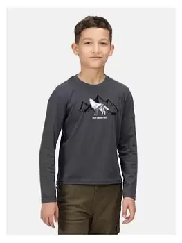 Regatta Kid's Boys Wenbie Ii Long Sleeve Graphic T-Shirt - Grey, Size 5-6 Years