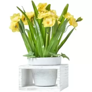 Homescapes - Yellow Artificial Daffodils in White Wooden Pot, 35cm - Yellow - Yellow - Yellow