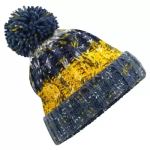 Beechfield Womens/Ladies Corkscrew Pom Pom Beanie (One Size) (Morning Frost)