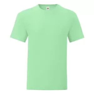 Fruit of the Loom Mens Iconic 150 T-Shirt (XXL) (Mint Green)