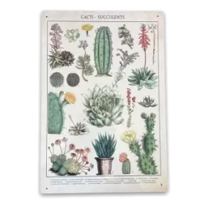 Retro Cacti & Succulents Identification Picture Vintage Metal Sign