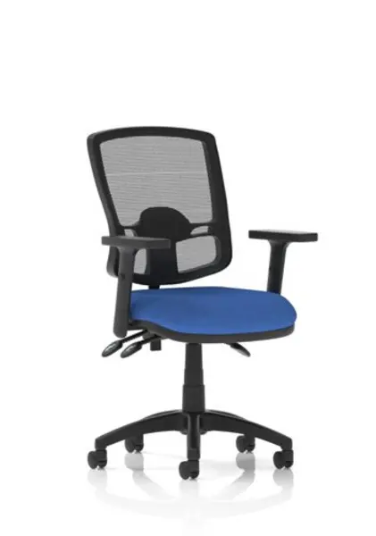 Eclipse Plus III Deluxe Mesh Back With Blue Seat With Height Adjustable Arms