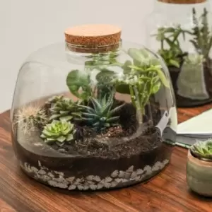 Bowl Shape Large Terrarium DIY Kit Clear