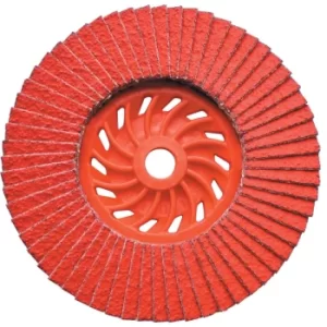 125XM14 J-AK Ceramic Flap Disc P60