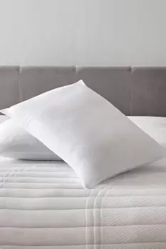 Pair of Anti Allergy Pillows