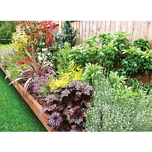 Garden On A Roll Mixed Sunny Border Pack 7m x 90cm Plants