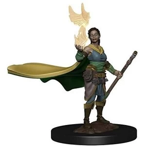 Dungeons & Dragons Icons of the Realms Premium Figures Elf Female Druid