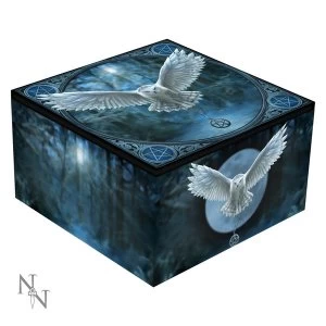 Awaken Your Magic Mirror Box