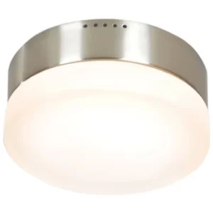 2 Light Flush Ceiling Light Stainless Steel