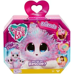 Scruff-a-Luvs Series 2 Candy Floss