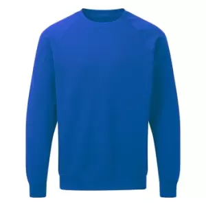 SG Mens Raglan Sleeve Crew Neck Sweatshirt (2XL) (Royal)