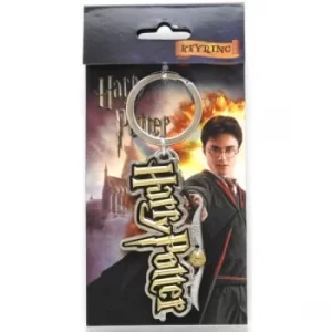 Harry Potter Logo Coloured Pewter Keyring