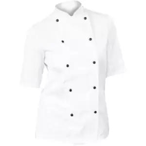 Dennys Womens/Ladies Lightweight Short Sleeve Chefs Jacket / Chefswear (2XL) (White) - White