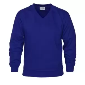 Absolute Apparel Mens V Neck Sweat (M) (Royal)