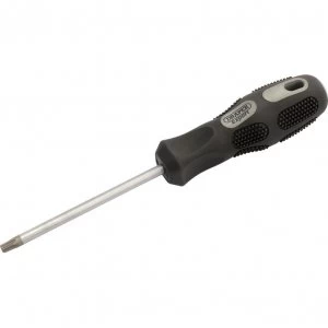 Draper Expert Security Torx Screwdriver T30 115mm